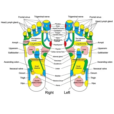Outil de massage triangulaire en bois – image 2